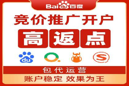 SEM代运营服务公司案例分析：数据驱动营销策略
